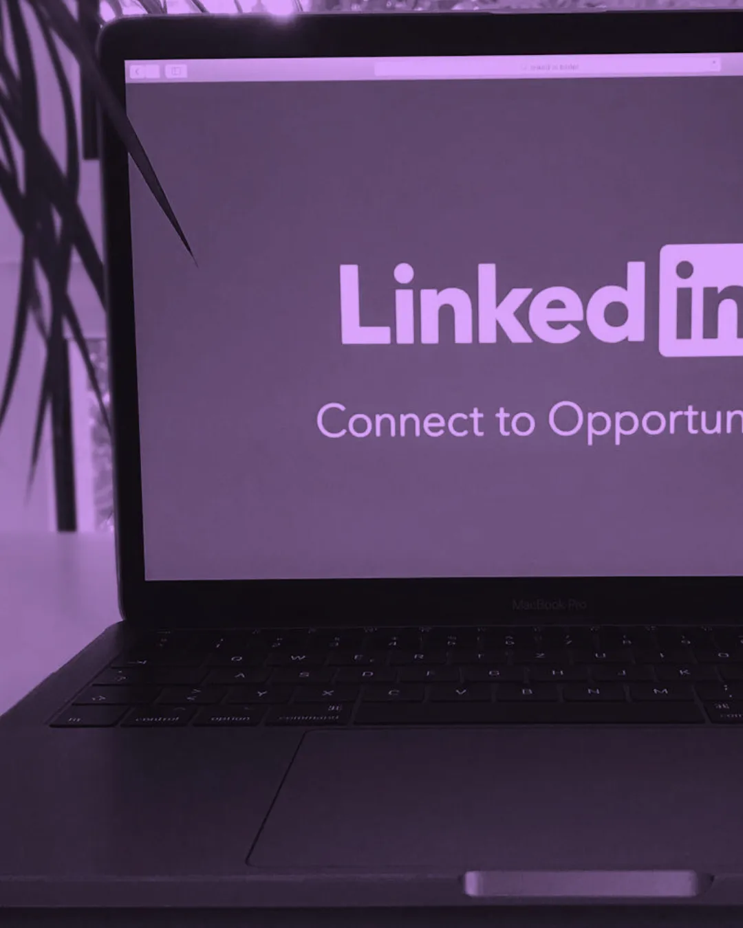 LinkedIn BrandLink: Revolutionizing Advertising with Video and Creators